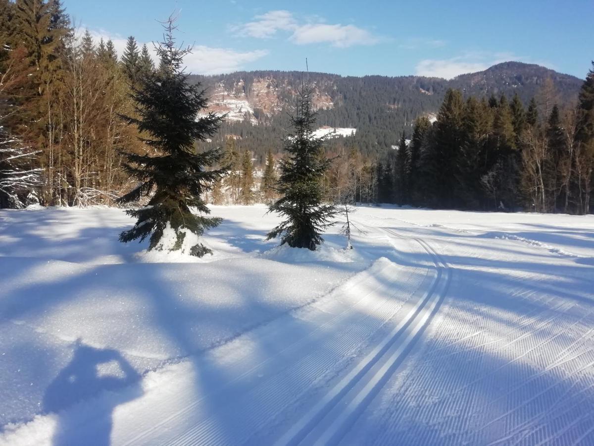 Julija 3 Sunny Apartment Kranjska Gora